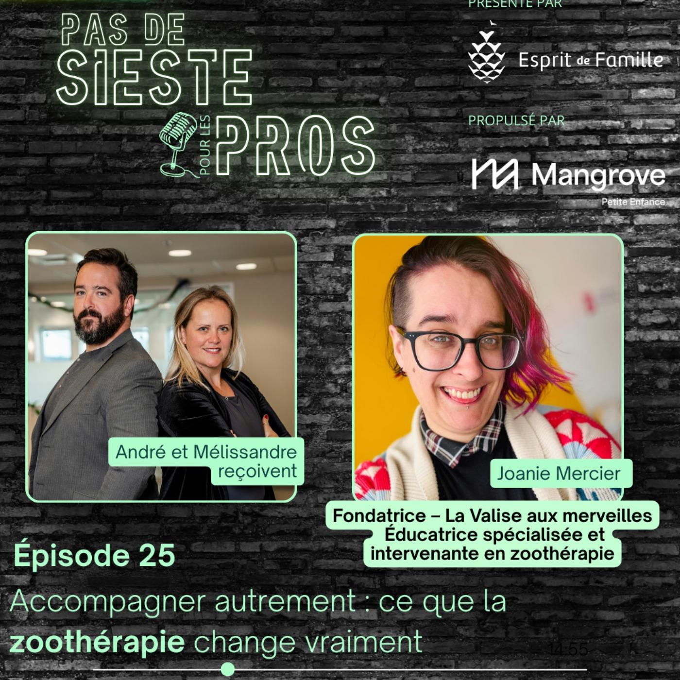 Accompagner autrement : ce que la zoothérapie change vraiment