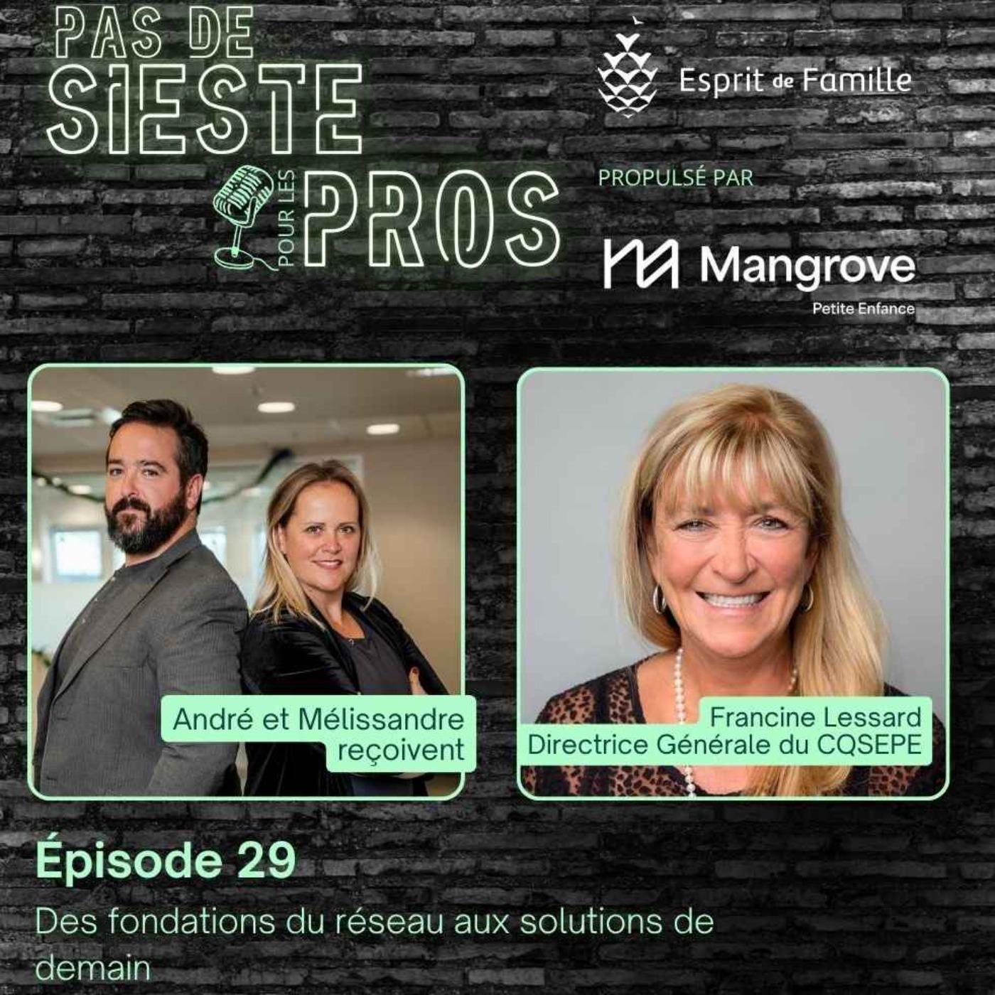 Des fondations du réseau aux solutions de demain : L'évolution avec Francine Lessard, DG du CQSEPE